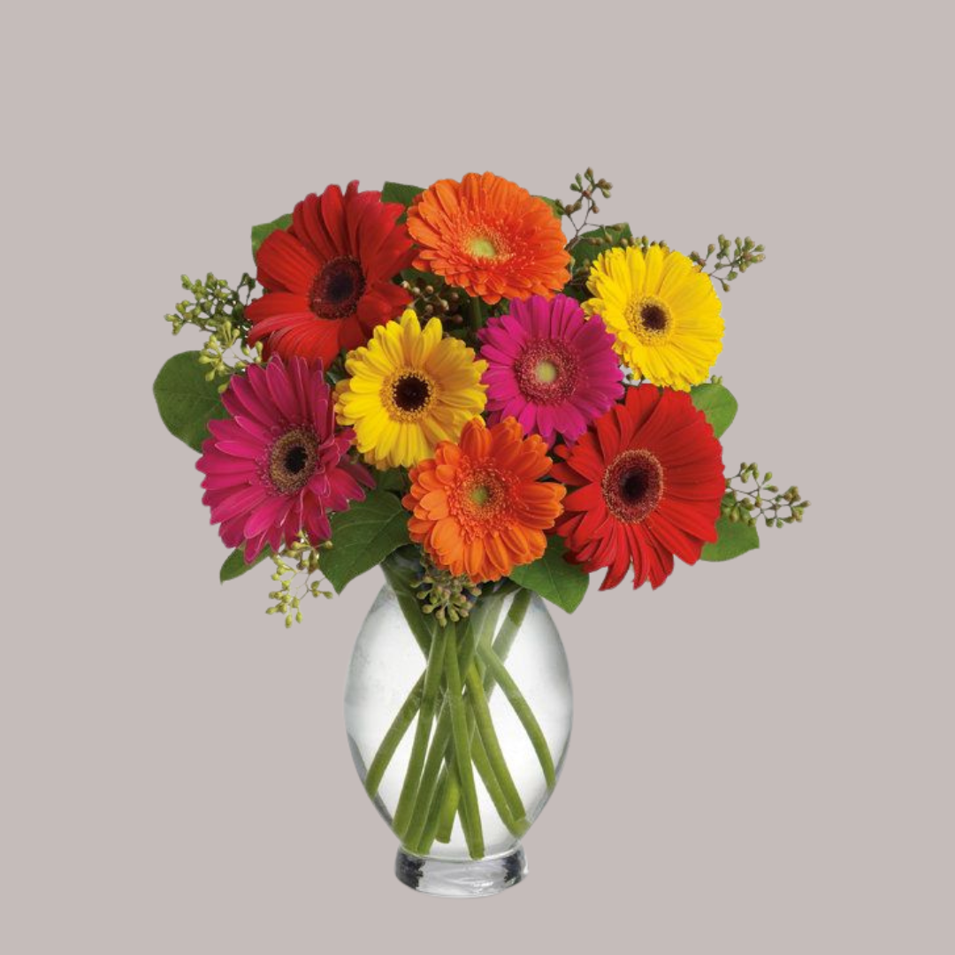 Colorful Gerberas