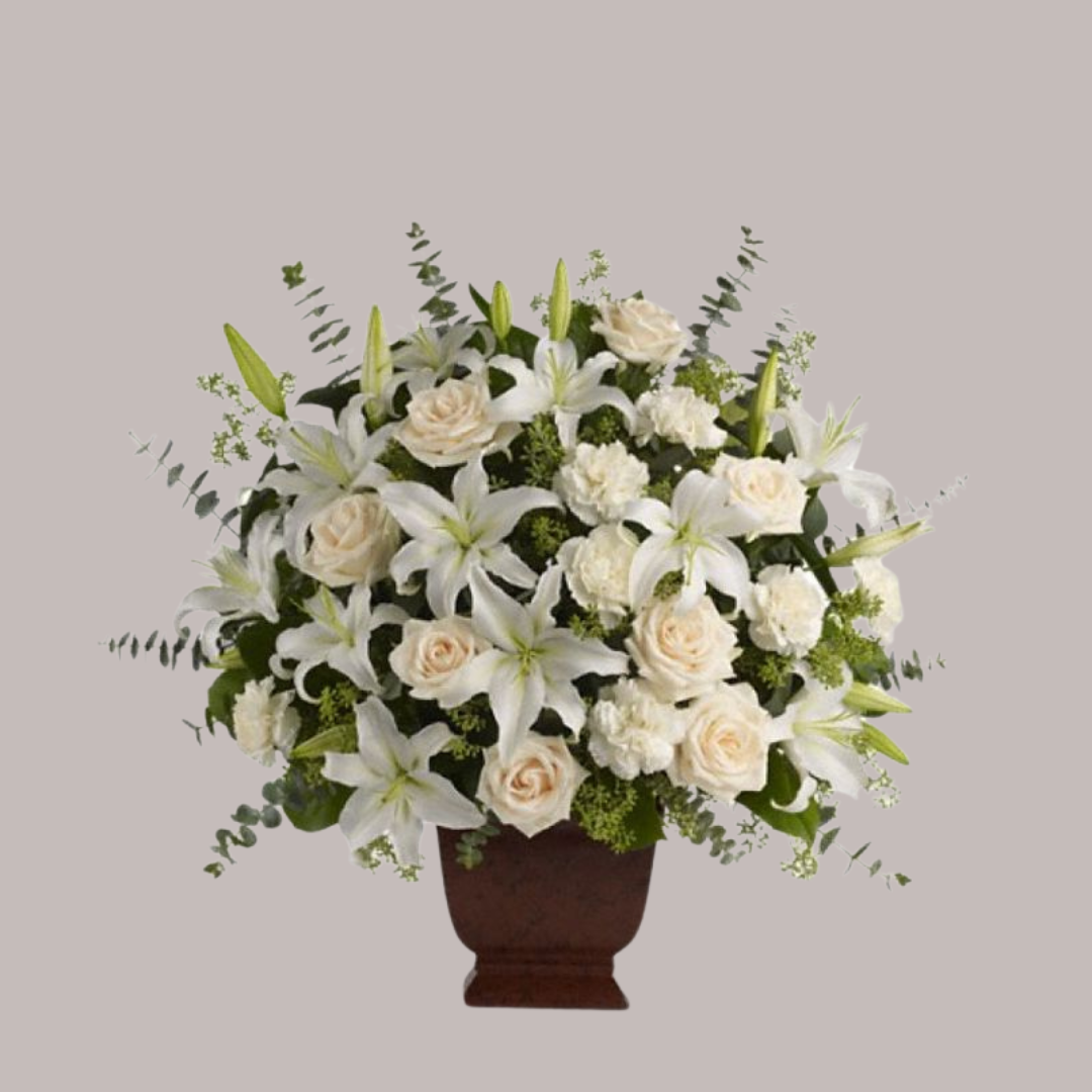 White Lily Sympathy