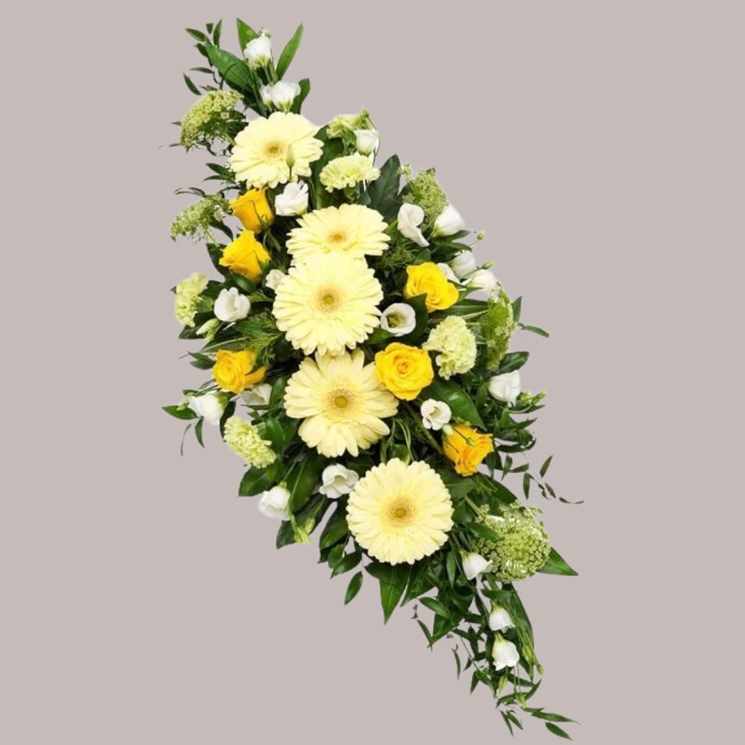 Sunshine Tribute