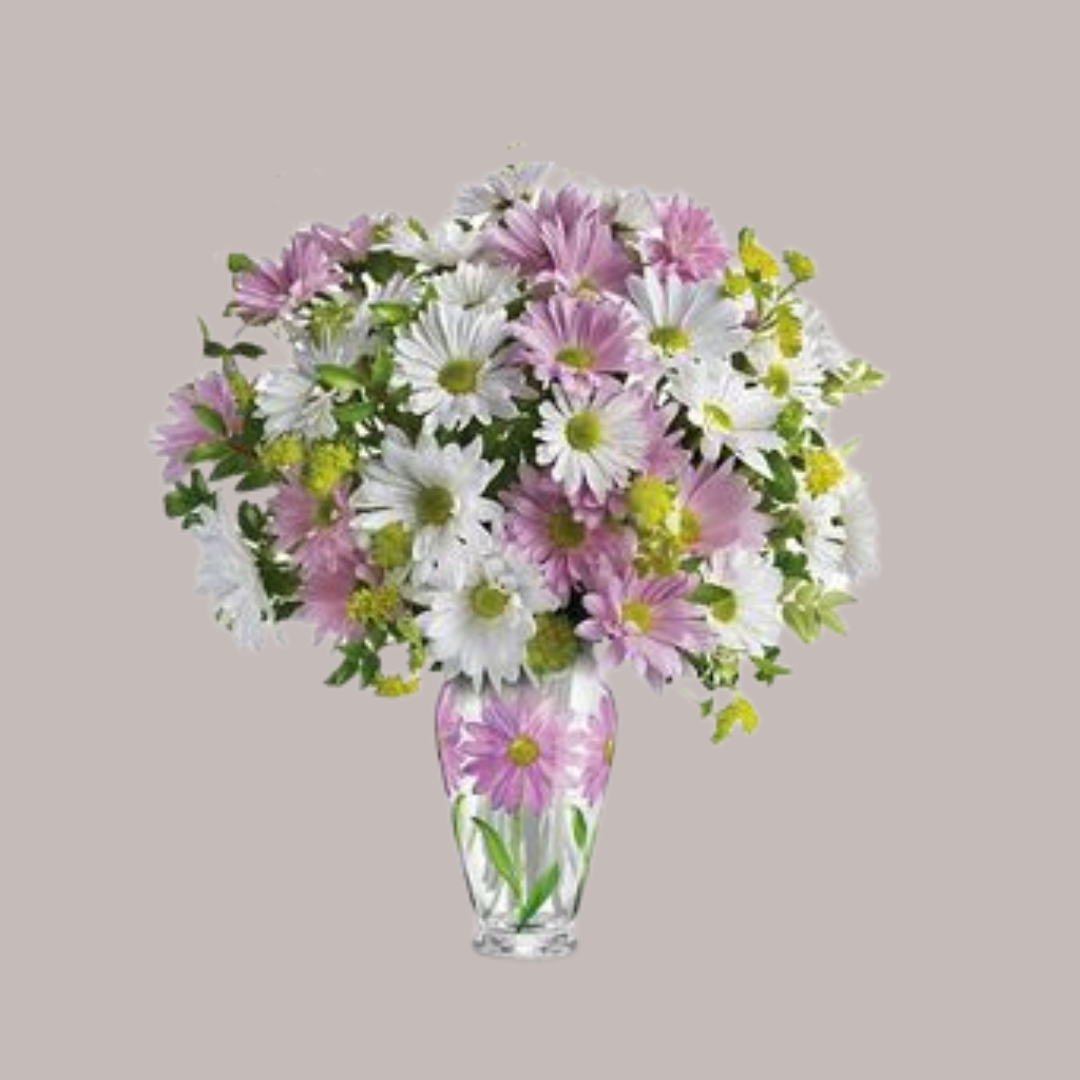 Daisy Delight