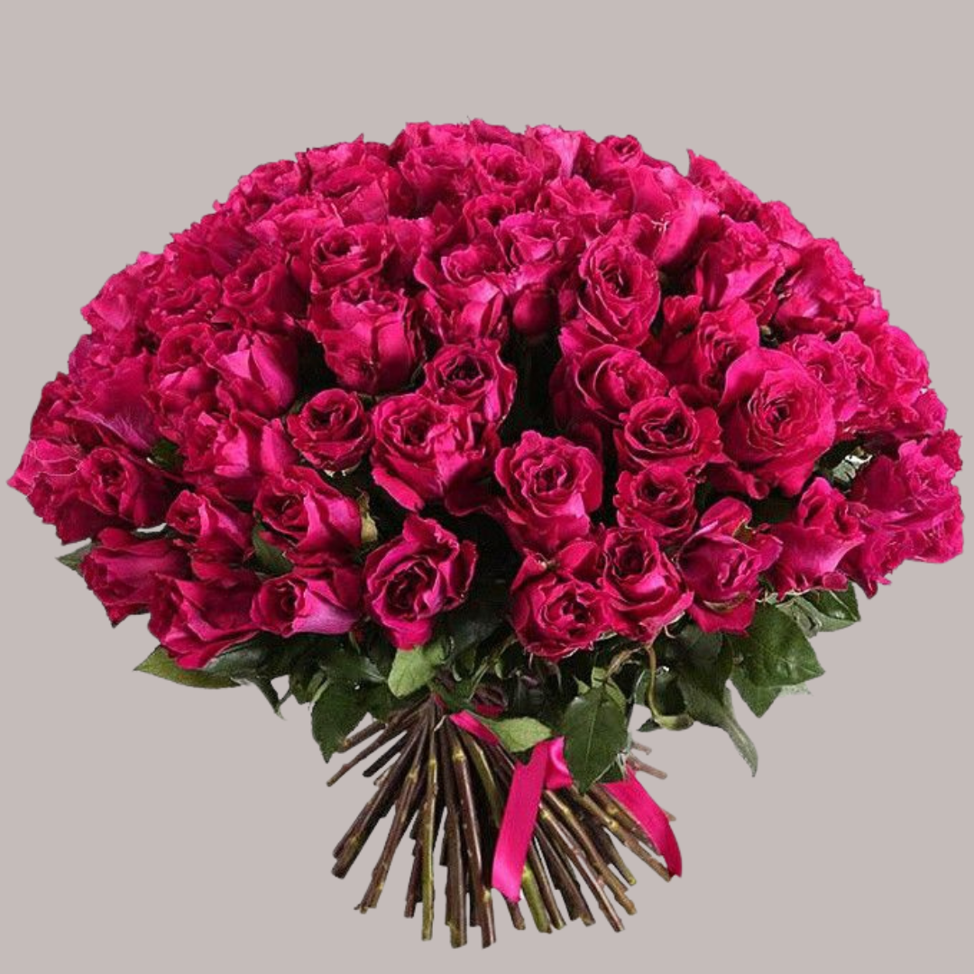 Fuchsia Fantasy- Roses