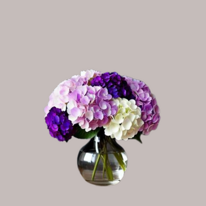 Lavender Dream