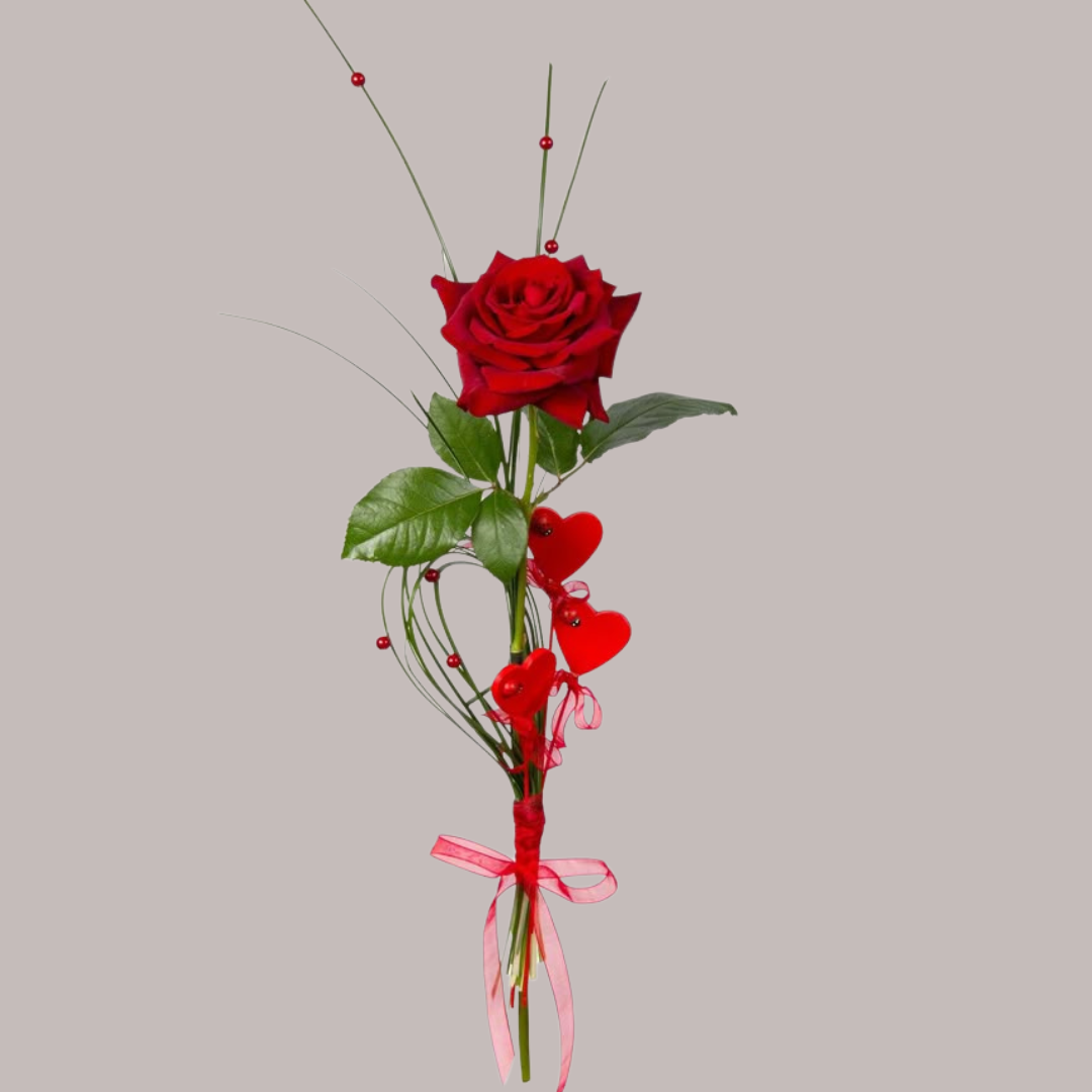 Rose rouge unique : le coup de foudre